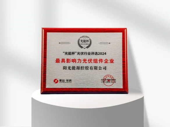 Highlight | Solargiga Energy Was Again Honored as the "Most Influential PV Module Enterprise" in the "Solar Energy Cup"