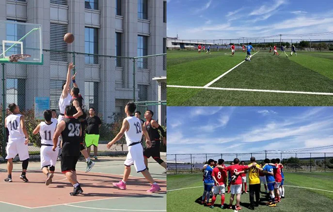 Highlight Moment | Solargiga Energy Upgraded to ‘A’ in Wind ESG 2025 Ratings, Setting a New Benchmark for Sustainability in Clean Energy